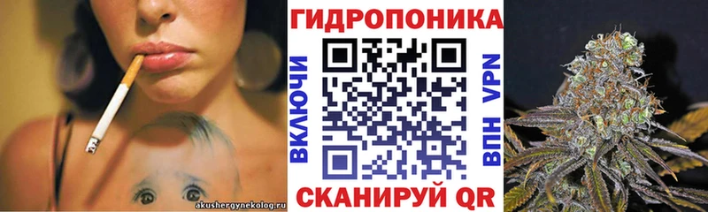 Бошки марихуана индика  дарк нет наркотические препараты  Черепаново 